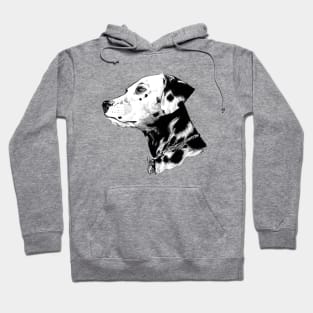 Dalmatian Drawing Hoodie